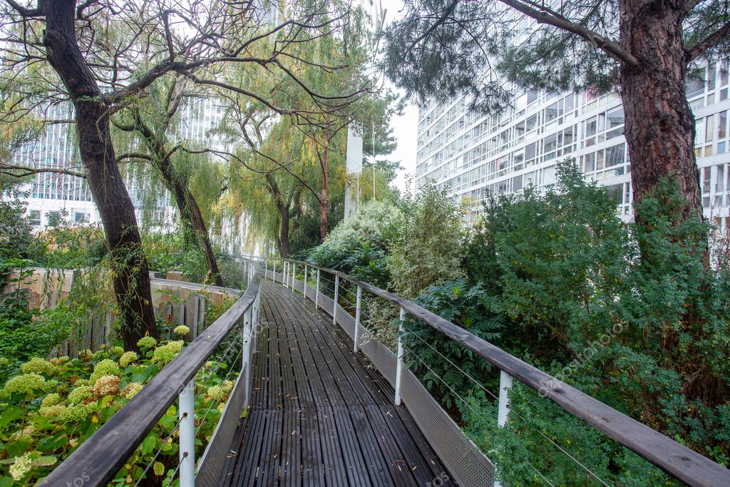paso en el segundo piso la belleza de la naturaleza en el parque en la