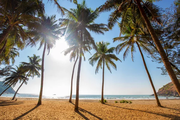 Vista Idílica Playa Goa Sur India Palmeras Arena Olas Suaves — Foto de Stock