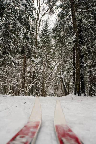 Erstes Skifahren Auf Dem Ersten Schnee Der Region Moskau Und — Stockfoto