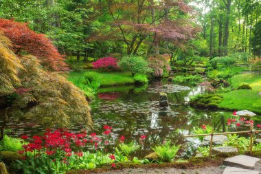 Mayıs 'ta Lahey' deki Japon bahçesinde pembe ve rhododendron çalıları, güzel güller, gölet ve akçaağaç ağaçlarıyla (acers) süslü ideolojik manzara - doğanın güzelliği