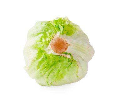 Beyaz Arkaplanda Yeşil Buzdağı Marulu