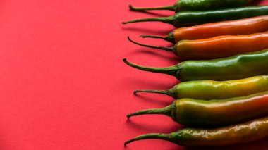 Kırmızı arkaplanda kırmızı biber ve kopyalama alanı.