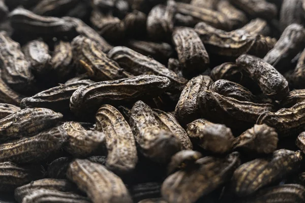 Selective Focus Groundnuts Still Covered Soil — Foto de Stock