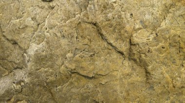 Kahverengi kumlu taş dokusu arkaplanı.