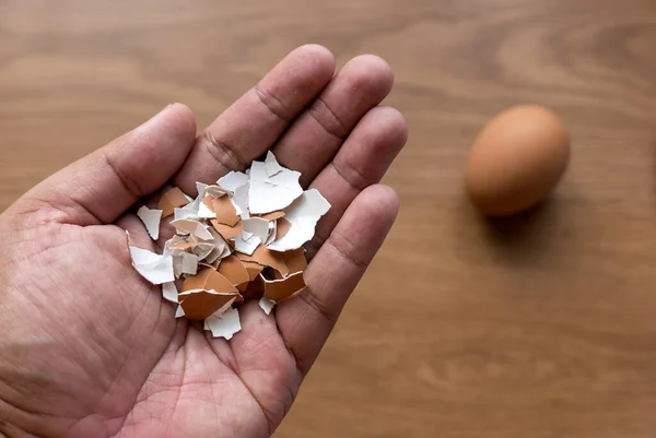 Uma Mão Segurando Uma Casca Ovo — Fotografia de Stock