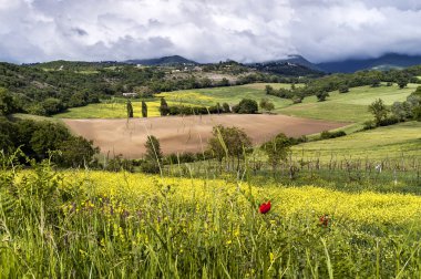 Bahar'ın Tuscan kırsalında