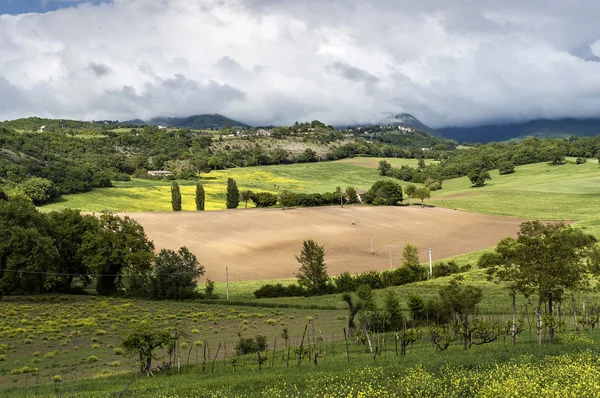 Campagne toscane au printemps — Photo