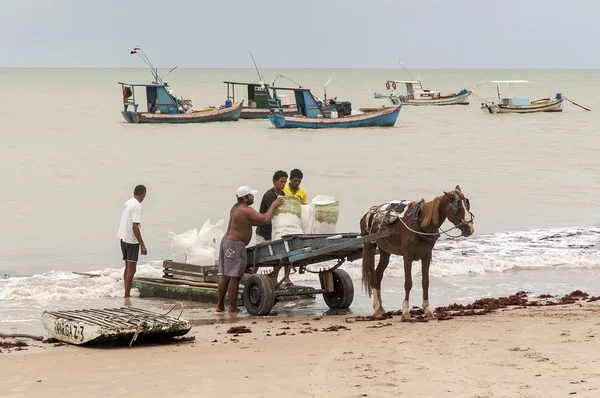 Pescador brasileiro — Fotografia de Stock