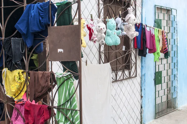 Linge et peluches traînés pour sécher — Photo