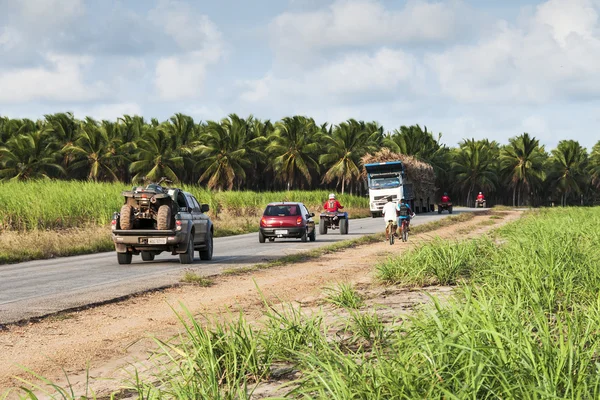 şeker kamışı taşıma kamyonu