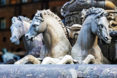 Horses of Neptune fountain in Florence clipart