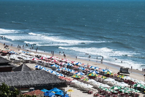 plaj şemsiyeleri ve sahilde turistler