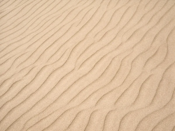 Plage sable texture — Photo