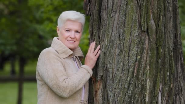 Ευτυχισμένη ήρεμη ώριμη μεσήλικη ανύπαντρη γυναίκα που κοιτάζει την κάμερα να ποζάρει κοντά σε μεγάλο δέντρο, χαμογελώντας ηλικιωμένη γυναίκα, υγιής χαρούμενη ηλικιωμένη συνταξιούχος κυρία με όμορφο πρόσωπο απολαμβάνοντας το Σαββατοκύριακο στο πάρκο — Αρχείο Βίντεο