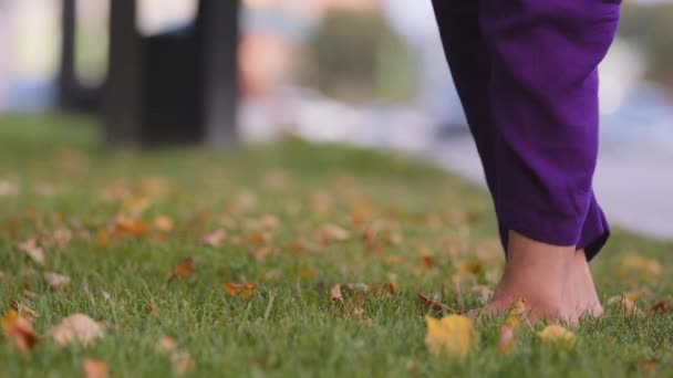 Close up pernas femininas em pé na grama, mulher rolar para fora preparação tapete de ioga verde para exercício asana treino. Treinador menina irreconhecível em calças roxas ajuste esporte vai fazer ao ar livre prática no parque — Vídeo de Stock