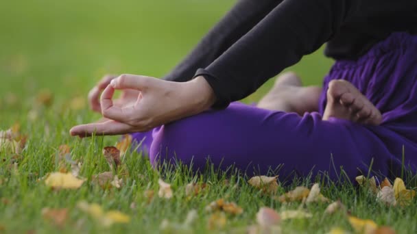 Nierozpoznawalna kobieta siedząca na trawniku w parku na świeżym powietrzu w pozycji lotosu ze skrzyżowanymi nogami ćwicząca jogę na zewnątrz ćwiczące asany zbliżenie mudra dłoń palce energia relaksujący koncentrat zen harmonia — Wideo stockowe