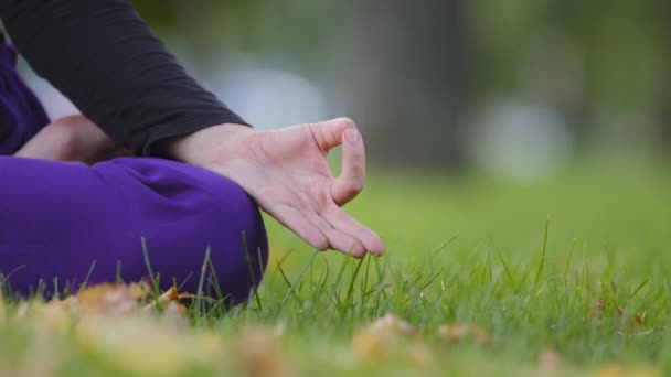 Zamknij kobiece palce złożone w pozycji Jnana Mudra jogi Padmasana. Nierozpoznawalna buddystka medytująca siedzi na trawie w parku i medytuje uważnie, podczas międzynarodowego dnia jogi. — Wideo stockowe