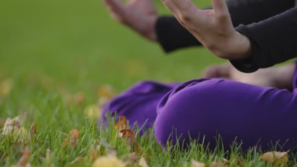 Femme fille faisant la pratique du matin dans le parc de la ville pelouse d'herbe verte. Détail cliché doigts féminins mains assises dans la pose du lotus médite faire des pratiques spirituelles leçons méditation exercices de yoga — Video