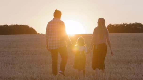バックビュー小さな娘を持つ3つのシルエット家族の両親は、秋の夏に手を取り合って歩く屋外で小麦の黄金のフィールドに行く太陽の日没の背景日差し週末の結合コンセプト — ストック動画