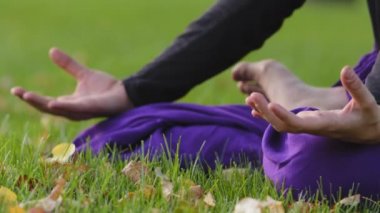 Yakın plan kadın elleri, Mudra 'nın parmaklarını meditasyon yaptırıyor. Mor pantolonlu, tanınmayan bir kadını vurarak yeşil çimlerde çimlerin üzerinde meditasyon yaparken yaşam tarzı sakinliği dengesi sağlandı.