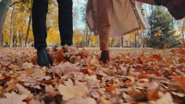 Unrecognizable couple happy walking in autumn park kicking fallen leaves guy and girl spend time together scattering leafage woman spinning around outdoors unknown partners rejoice nice sunny fall day — Stock Video
