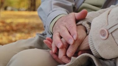 Yakın plan evli çiftler, sonbahar parkında romantik bir şekilde el ele tutuşuyorlar. Yaşlı eşler, açık havada, olgun erkeklerin, eşlerinin avuçlarını okşamasının keyfini çıkarıyorlar.