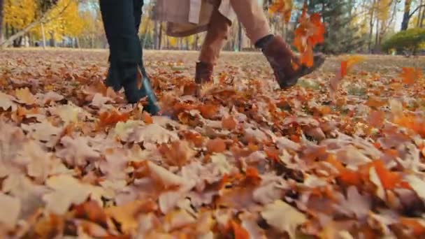 Κοντινό πλάνο δύο αγνώριστα ζευγάρια πόδια περπάτημα αργά κλοτσιές πεσμένα φύλλα άγνωστο ζευγάρι στο πάρκο φθινόπωρο τύπος και το κορίτσι σκέδαση φύλλα σε εξωτερικούς χώρους χαίρονται ηλιόλουστη μέρα άνθρωπος με τη γυναίκα στο δάσος φθινόπωρο — Αρχείο Βίντεο