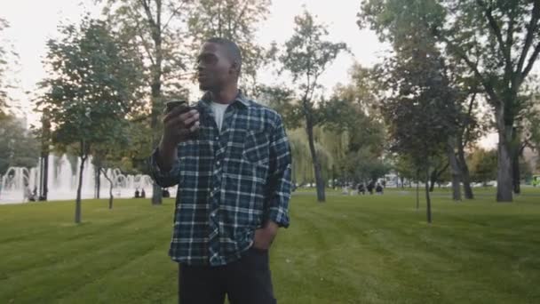 Jeune homme afro-américain solitaire s'inquiéter homme touriste debout dans le parc dans la nouvelle ville perdu sentiment stress recherche façon de regarder dans le téléphone mobile en utilisant l'application de navigateur de carte en ligne regarder autour — Video