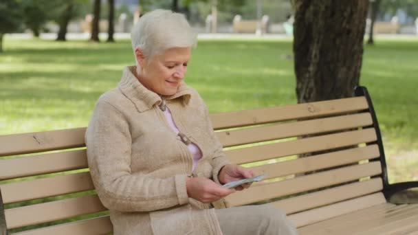 Stará šedovlasá dáma důchodového věku zralá žena s hromadou eurobankovek, které počítají bankovky v hotovosti. Úspěšní obchodníci s vysokými příjmy. Směnárna — Stock video