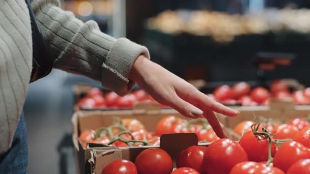 Close-up kobieta strony shopper dziewczyna wybrać czerwony dojrzałe zdrowe pomidory w sklepie w pobliżu lady. Cropped view nierozpoznawalna kobieta wegetariańska żywność konsument wskazuje palcem na warzywa w supermarkecie zakupu — Wideo stockowe