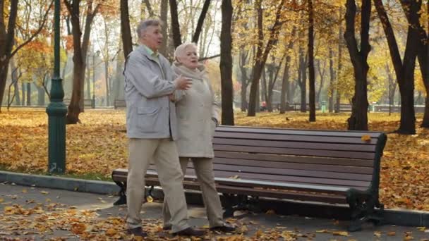 노 부부가 가을 공원을 걷고 있는 나이든 부부가 손을 잡고 대화를 즐기고 있습니다. 집 밖에서의 오래 된 가족 관계에 대한 이야기를 즐기고 있습니다. 조부모들은 로맨틱 한 산책을 함께 하며 미소짓습니다. — 비디오