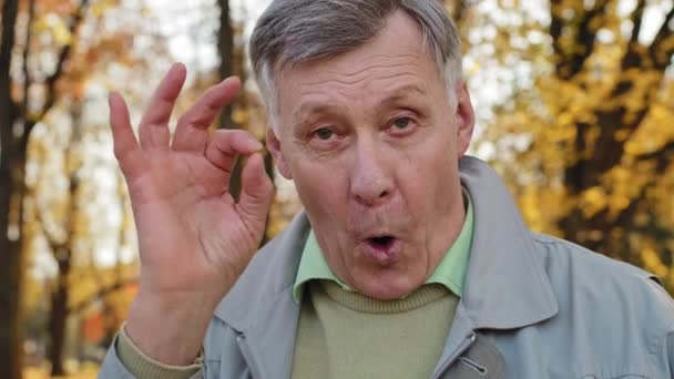Close-up portrait elderly man positive grandpa showing consent sign looking at camera in autumn park smiling happily outdoors caucasian old male says okay gesture good mood satisfied senior retiree — Vídeo de Stock