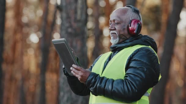 Closeup elderly forestry engineer enters data into logging tablet reforestation of woodland serious professional worker in protective earphones mature african american foreman forester oversees forest — Video Stock