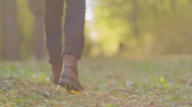 Back view of walking feet on forest in national park. Tourist walks on adventure trip in natural landscape in hike boots on wooden trail closeup. Man in nature outdoor activities travel concept