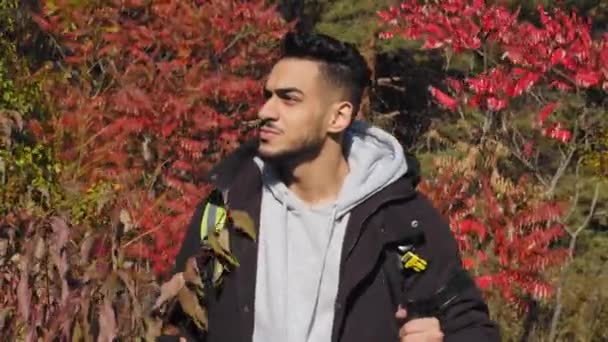 Hiking in autumn forest concept. Closeup Young active healthy Indian man, bearded camper guy traveling with backpack and sportive trekking poles in wood. Athletic Arabian male traveler walking along — Video