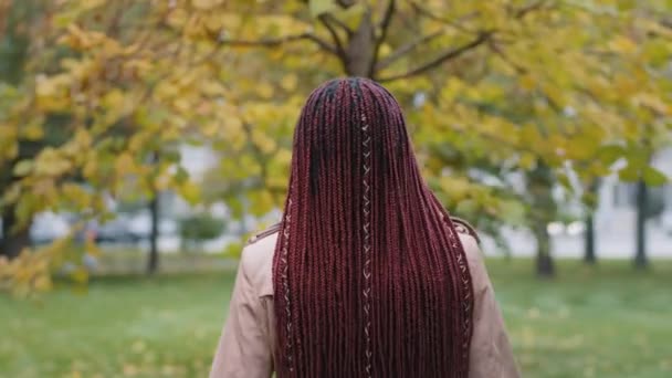 Rear view african american millennial girl model with beautiful long hair stylish hairstyle. Smiling young woman turns back, looks kindly at camera. Portrait pretty lady walking in autumn park alone — 비디오