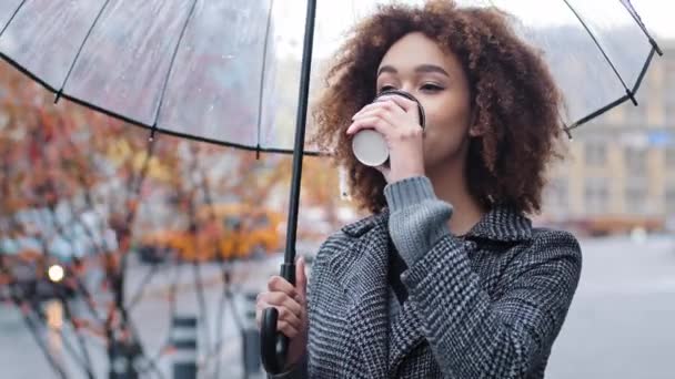 Hermosa joven atractiva mujer afroamericana satisfecha con el pelo rizado con paraguas transparente se encuentra en la ciudad lluvia fría beber café caliente. Turista disfrutando de la bebida en tiempo lluvioso — Vídeos de Stock