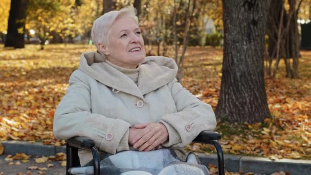 Mutlu yaşlı büyükanne, tekerlekli sandalyede oturur, sonbahar parkına bakar. Yetişkin, emekli, dışarıda dinlenen, özürlü, gülümseyen, iyi hava koşullarından keyif alan, özel ihtiyaçları olan, akıl sağlığı yerinde, yaşlı insanlara bakar. — Stok video