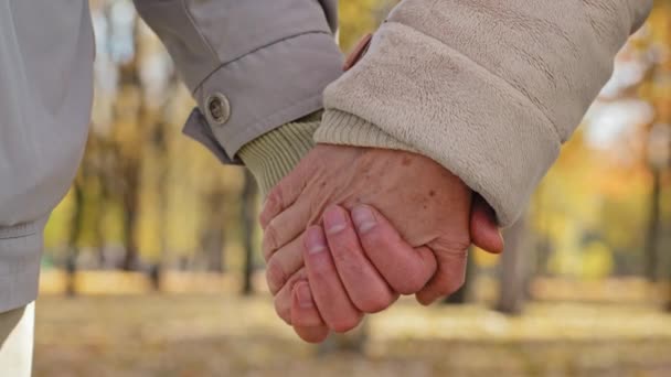 Close-up wrinkled hands elderly couple aged man and woman holding arms in autumn park strong family relationships caring senior older retired grandparents showing love support healthy marriage concept — Stock Video