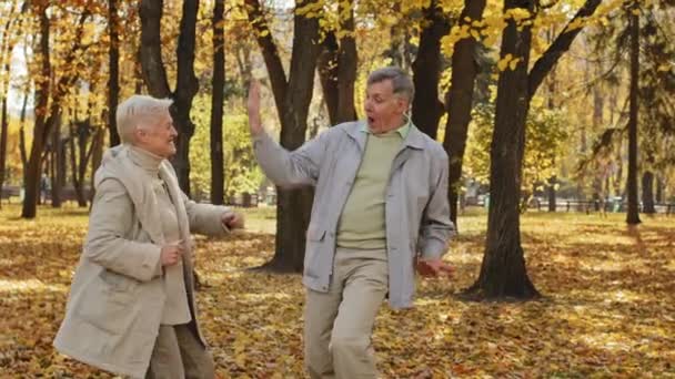 Positivo anziani coppia di famiglie che ballano nel parco autunnale sorridenti pensionati felici divertirsi all'aperto spensierato vecchio uomo e donna celebrare evento speciale trascorrere del tempo insieme sano concetto di stile di vita attivo — Video Stock