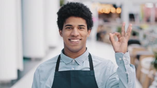 Fiatal afro-amerikai férfi munkás pincér eladó kötény ember kis üzlet tulajdonosa kávézó étterem üzlet nézi kamera barátságos mosollyal mutatja rendben egyetért finom jó jel nagy gesztus — Stock videók
