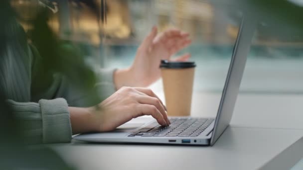 Dizüstü bilgisayarda yazan kadın elleri e-postaları cevaplıyor makale yazıyor kağıt bardaktan sıcak çay içiyor. Tanımlanamayan iş kadını internetten kafede sohbet ediyor ücretsiz kablosuz internet bağlantısı. — Stok video