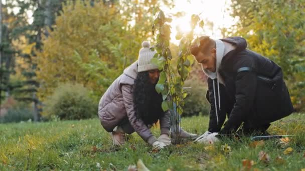 Ung glad spansktalende par i kærlighed i parken plantning træ i handsker befrugte jord passe naturlige planter miljø verden økologi genplantning symbol forhold begynder familieliv hobby – Stock-video