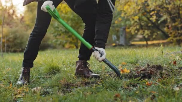 Primo piano uomo irriconoscibile in guanti da lavoro lavori nel parco tiene pala da giardino in mano scava buca profonda piantare alberello o cespuglio si prende cura piante naturali ambiente ecologia giardinaggio hobby concetto — Video Stock