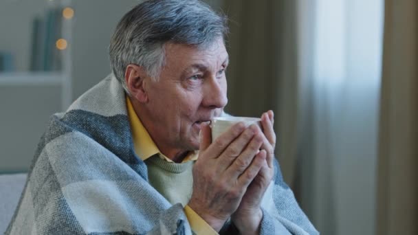 Close up portret zamyślony dojrzały starzec zawinięty w ciepły koc picia gorącej herbaty spokojny dziadek odpoczynku sam cieszyć się pyszny napój relaks szczęśliwy marzycielski emeryt gospodarstwa filiżankę kawy — Wideo stockowe