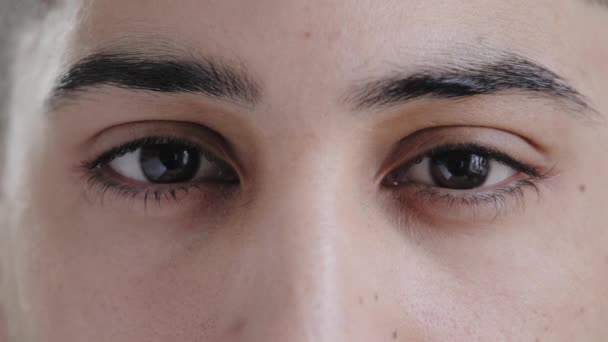 Close-up detalhe macro tiro latino jovem árabe modelo masculino mostrando expressivos olhos castanhos olhando para câmera piscando reflexivamente olhos desconhecido hispânico homem com visão saudável visão clara visão óptica — Vídeo de Stock