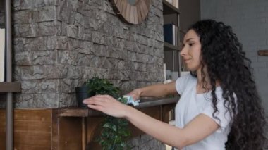 Genç, mutlu İspanyol kadın ev hanımı ıslak bez parçalarıyla yıkadı oturma odasındaki tozdan güldü temizlik zevkini aldı temizlik yaptı evde düzeni korudu yaprakları düzleştirdi