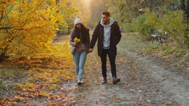 Jovens hispânicos casal feliz no amor andando ao ar livre indo em florestas de outono em sol apreciando a natureza conversando sorrindo conversando romântico data agradável comunicação menina detém folhagem dourada sente alegria — Vídeo de Stock