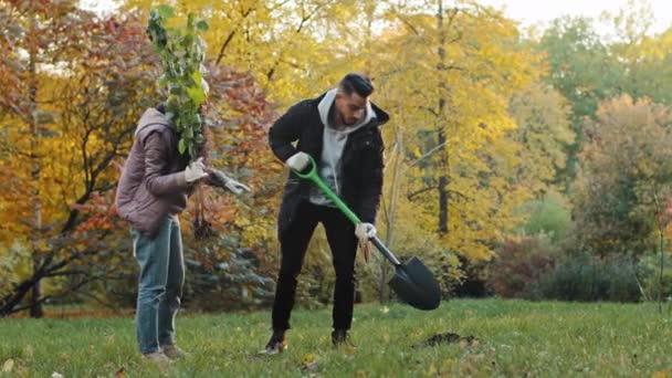 Unga par kille och flicka eko-aktivister växt träd i parken engagerade i landskapsarkitektur skog ta hand om naturen miljö ekologi återplantering njuta av att arbeta utomhus gödslar jord plantering växt — Stockvideo