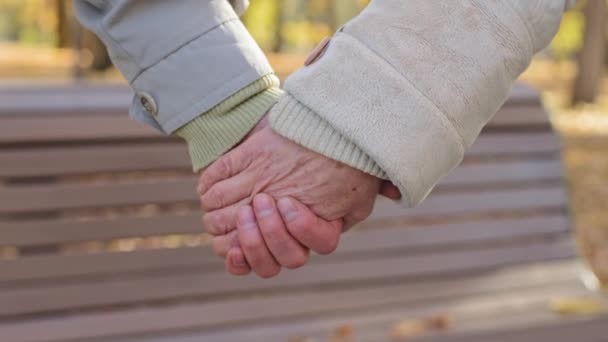 Close up elderly couple holding hands together lovely old middle-aged partners grandparents senior husband wife support marriage relationship care love walking in autumn park enjoy romantic outdoor — Stock Video
